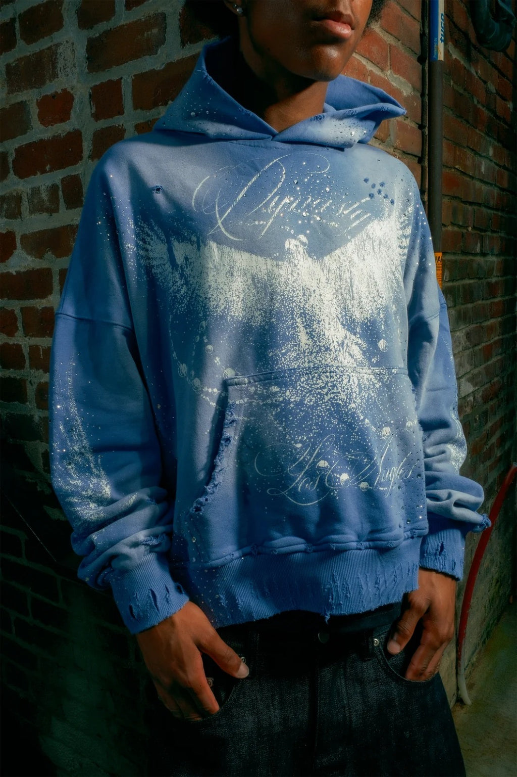 Blue Legacy Hoodie